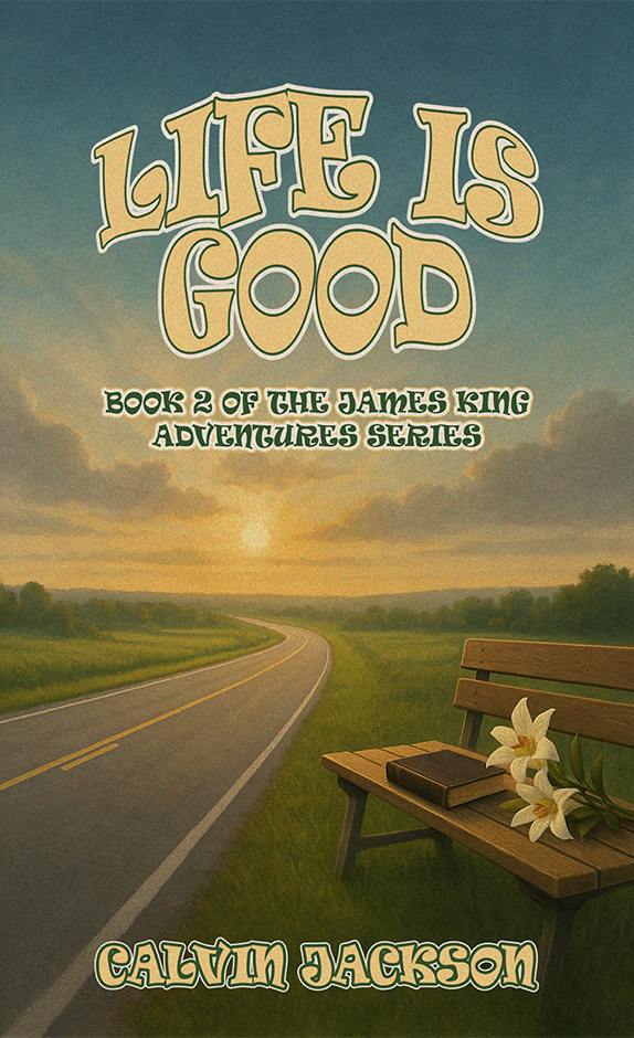 Love Lost in the Details by Judy Meade Wood book cover